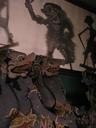 Shadow puppets.